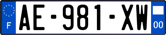 AE-981-XW