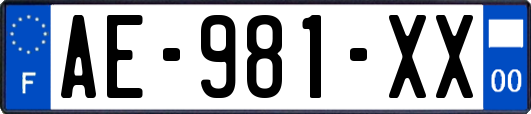 AE-981-XX