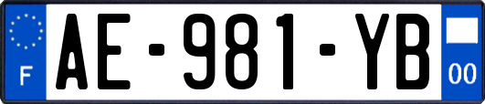 AE-981-YB