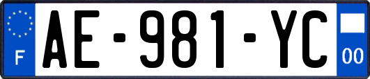 AE-981-YC