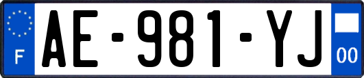 AE-981-YJ