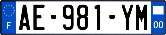 AE-981-YM
