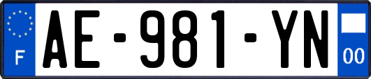 AE-981-YN