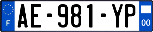 AE-981-YP
