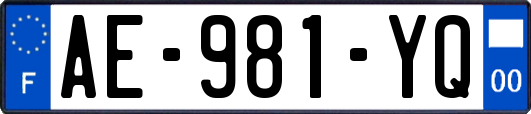 AE-981-YQ