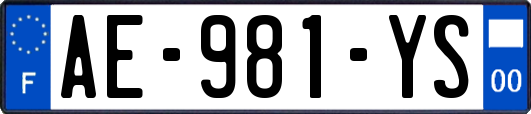 AE-981-YS