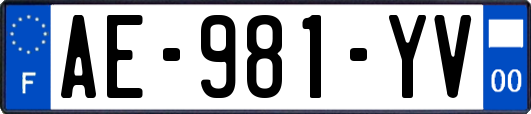 AE-981-YV