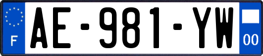 AE-981-YW