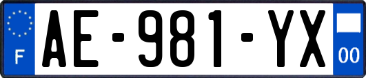 AE-981-YX