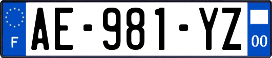 AE-981-YZ