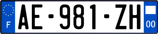 AE-981-ZH