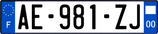 AE-981-ZJ