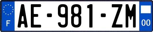 AE-981-ZM