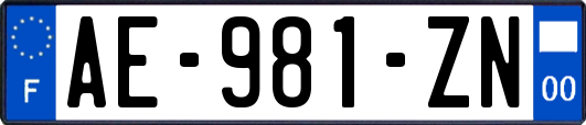 AE-981-ZN