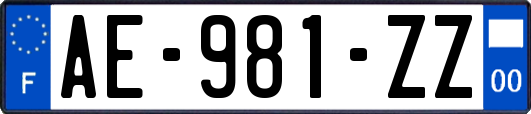 AE-981-ZZ