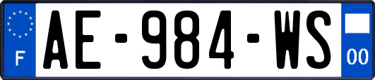 AE-984-WS