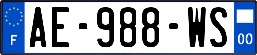 AE-988-WS