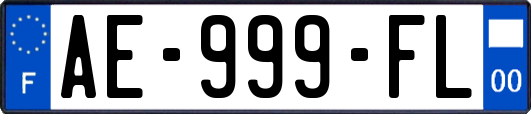 AE-999-FL