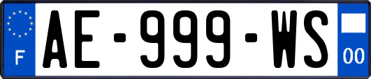 AE-999-WS