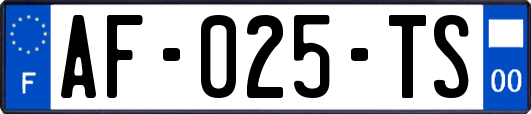 AF-025-TS