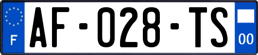 AF-028-TS