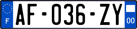 AF-036-ZY