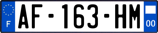 AF-163-HM