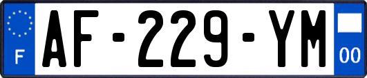 AF-229-YM