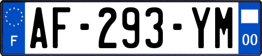 AF-293-YM