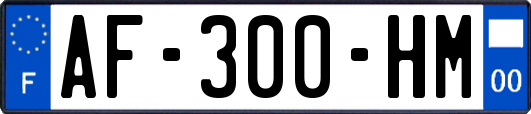 AF-300-HM