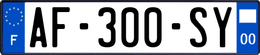 AF-300-SY