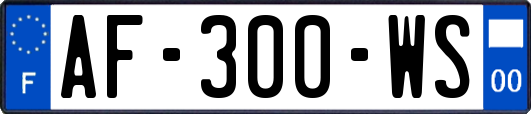 AF-300-WS