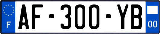 AF-300-YB