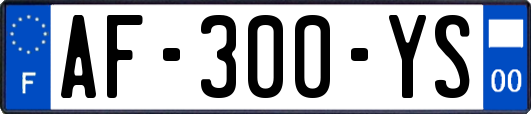 AF-300-YS