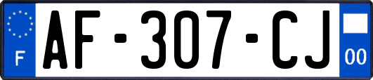 AF-307-CJ