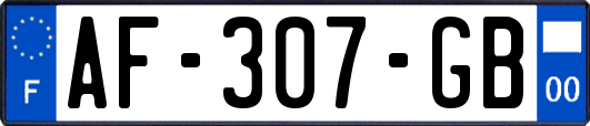 AF-307-GB