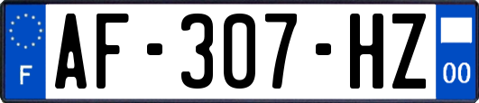 AF-307-HZ