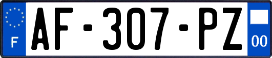 AF-307-PZ