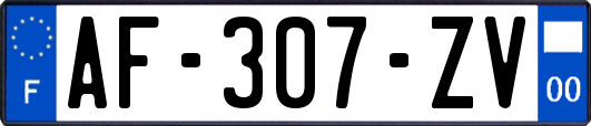 AF-307-ZV