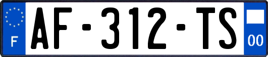 AF-312-TS