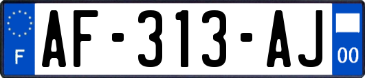 AF-313-AJ