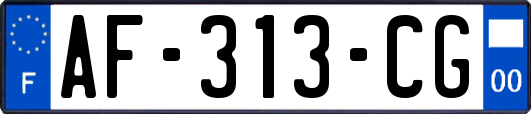 AF-313-CG