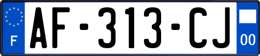 AF-313-CJ