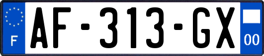 AF-313-GX