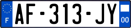 AF-313-JY