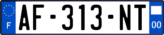 AF-313-NT