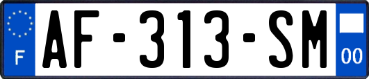 AF-313-SM