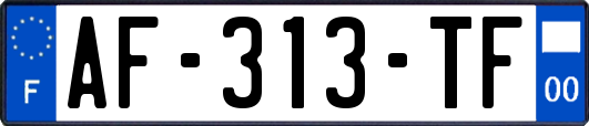 AF-313-TF