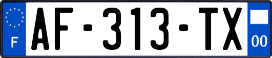 AF-313-TX