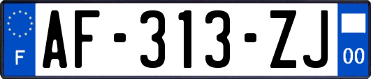 AF-313-ZJ